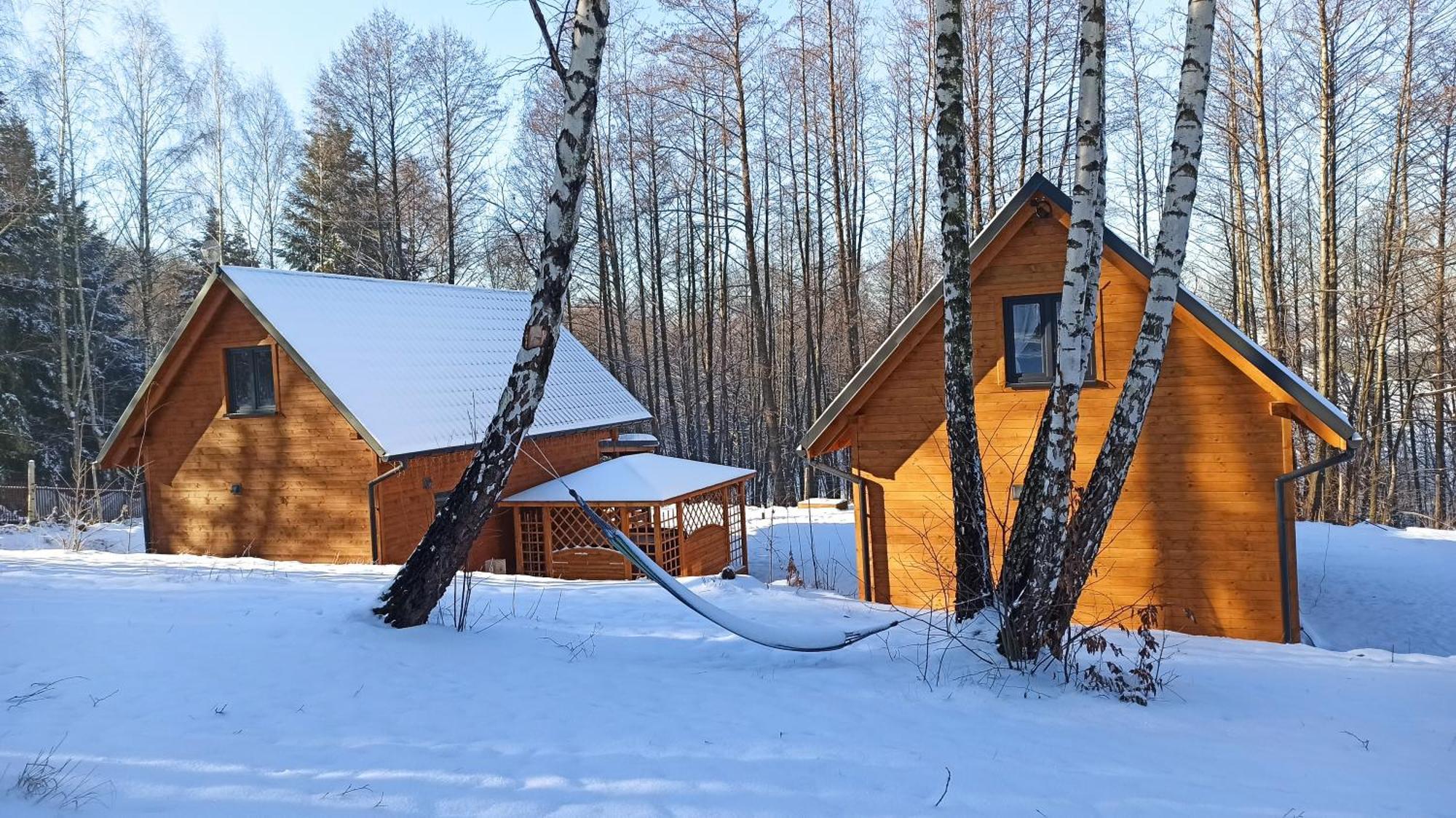 Вилла Las Lorien - Wynajem Domkow Letniskowych 2.0 Roczyny Экстерьер фото